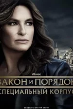 Law & Order: Special Victims Unit Season 27