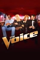 The Voice of America Season 29