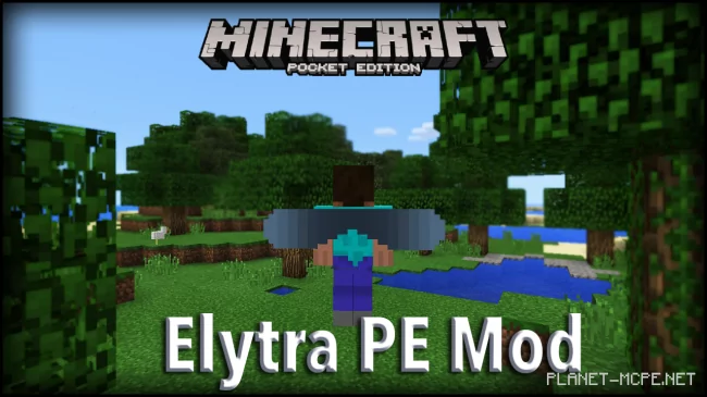 Elytra PE