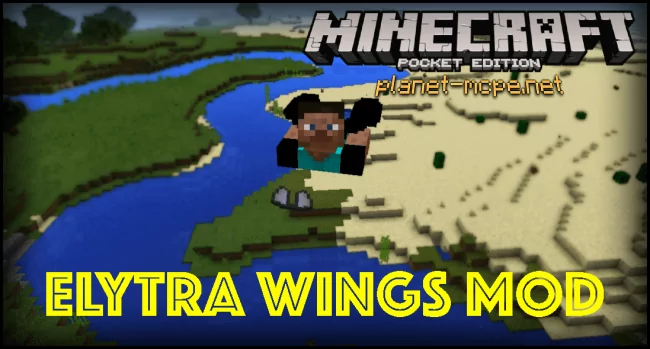 Elytra Wings