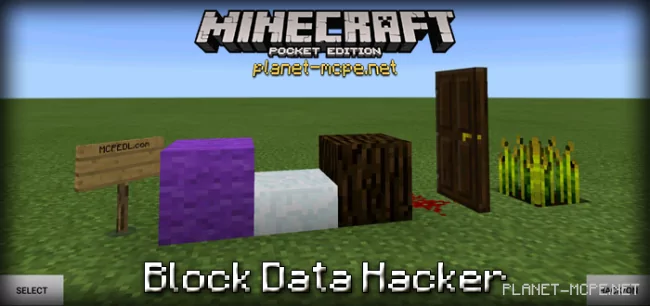 Block Data Hacker