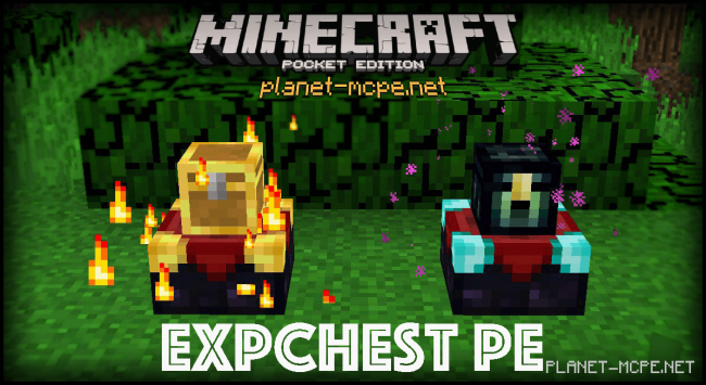 Exp Chest PE