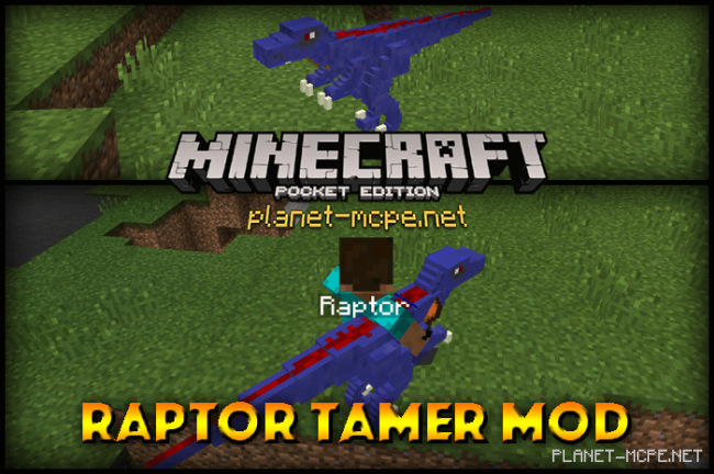 Raptor Tamer