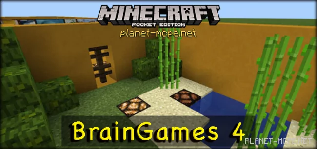 BrainGames 4 Map