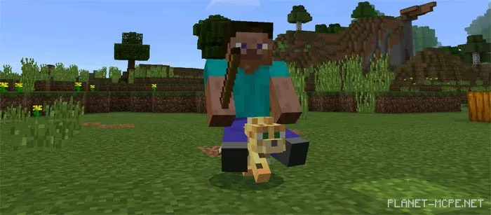 Driveable Mobs Mod 0.16.0