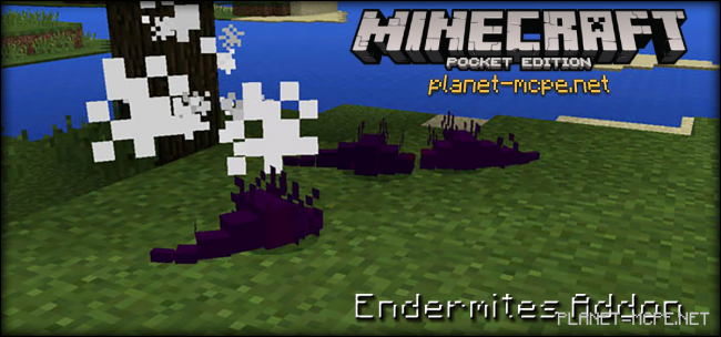 Endermites Addon