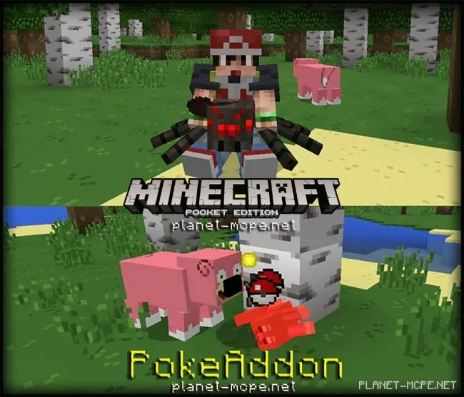 PokeAddon