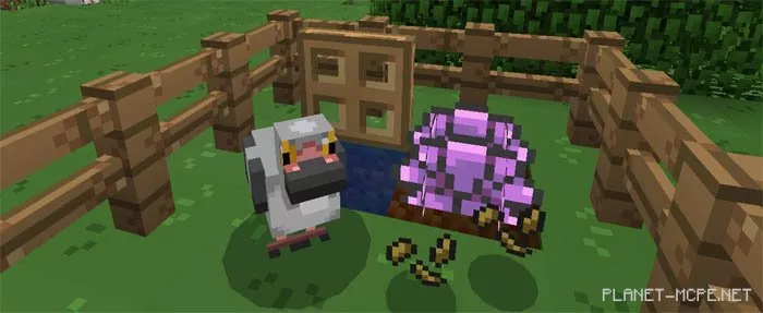 PokeAddon Mod 0.16.1/0.16.0