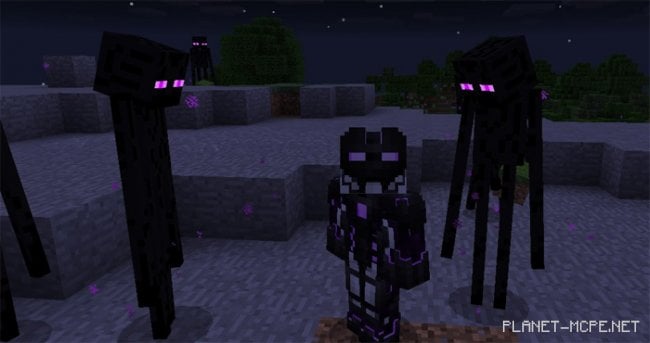 You Are The Enderman