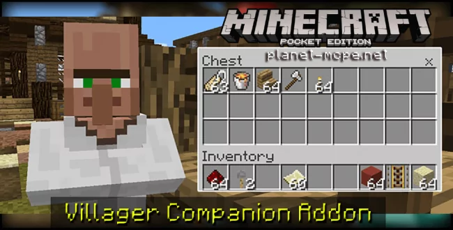 Villager Companion