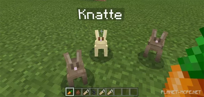 Tameable Rabbits Mod 0.17.0/0.16.1/0.16.0