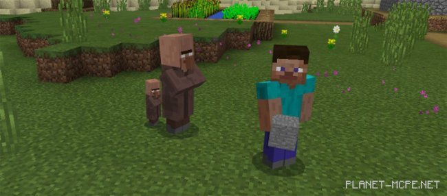 Villagerbrine