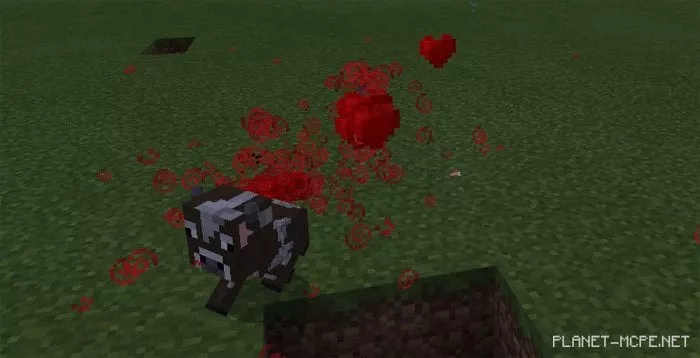 Crazy Wither Mod 1.0/0.17.0