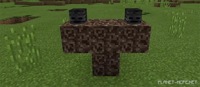 Crazy Wither Mod 1.0/0.17.0