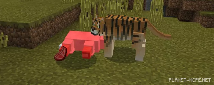 Tiger Mod 1.0.6/1.0.0