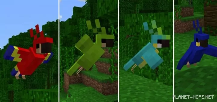 Minecraft PC Parrots Mod 1.0.8/1.0.0