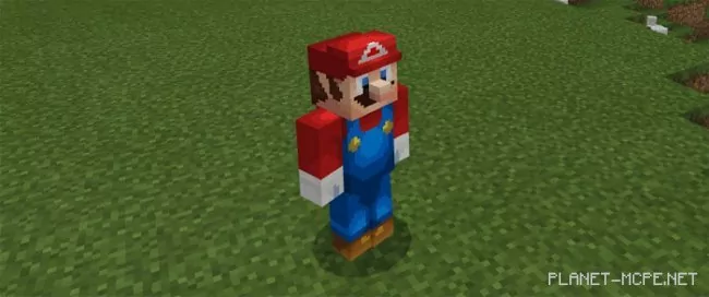 Mario Craft