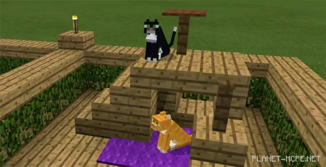 Map 30 Animal Home Designs [Creativity] 1.1.0.9+