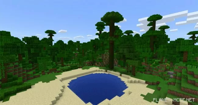 Seed for Island with Jungle in the Ocean 1.2