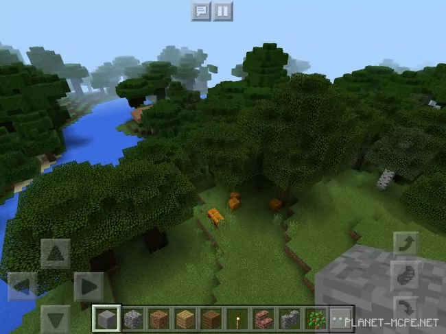 Seed for Dark Forest with Pumpkins Near Spawn 1.2