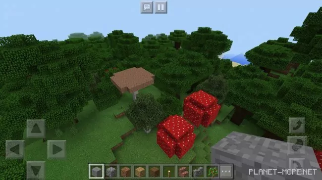 Seed for Large Dark Forest with Mushrooms 1.2