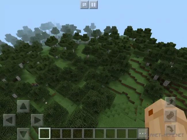 Seed for Huge Birch Forest and More 1.2