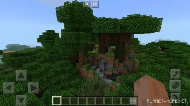 Seed for Many Forests and Unusual Trees in Dark Forest 1.2