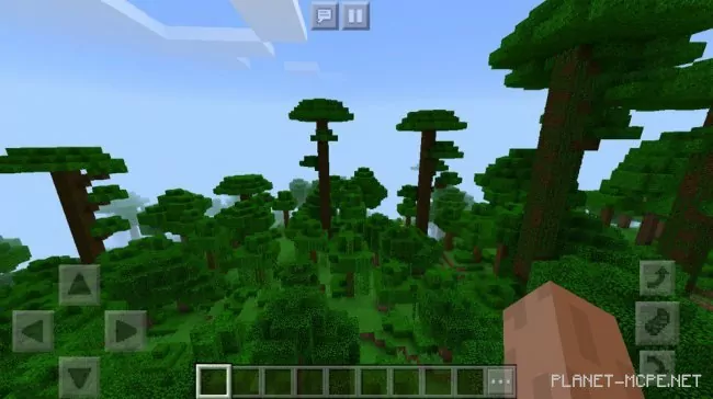 Seed for Jungle at Spawn 1.2