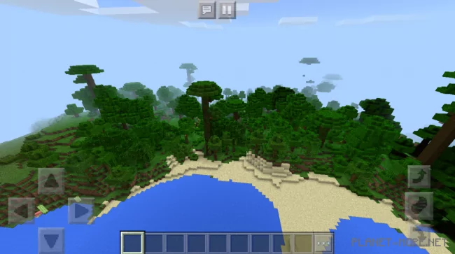 Seed for Large Jungles Along the Shore and More 1.2