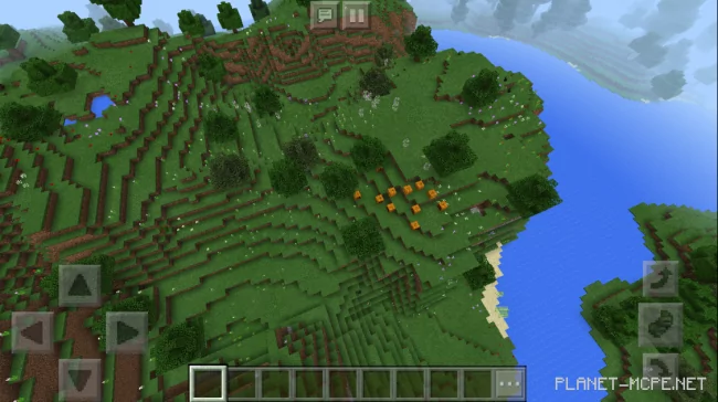 Seed for Forests with Massive Colorful Deposits 1.2