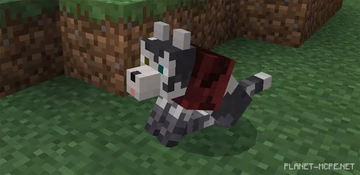 The Hunter MCPE