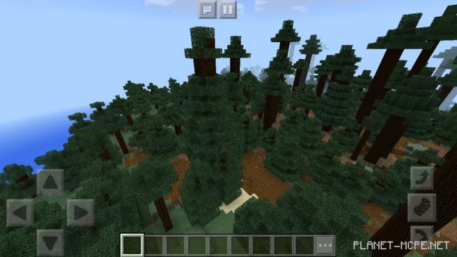 Seed for Large Coniferous Forest 1.2