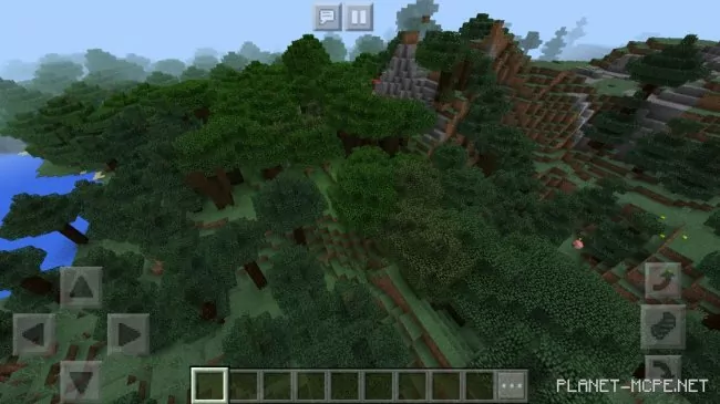 Seed for Large Forests 1.2