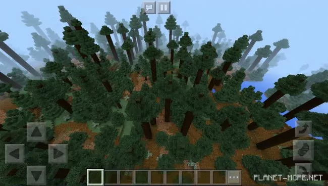 Seed for Huge Coniferous Forest 1.2