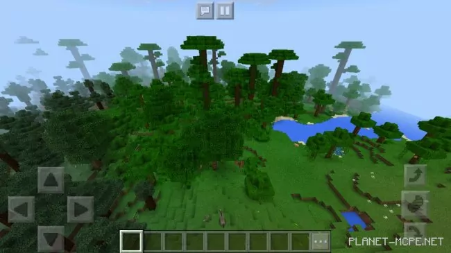 Seed for 3 Forests: Coniferous, Tropical, and Regular in Almost One Place 1.2