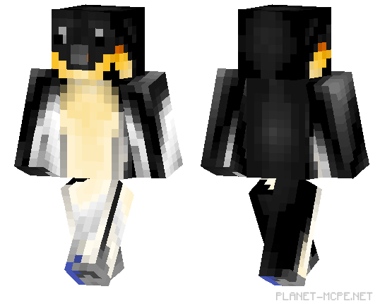 Penguin