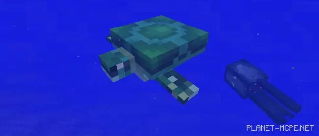 A new mob appears: Turtle!