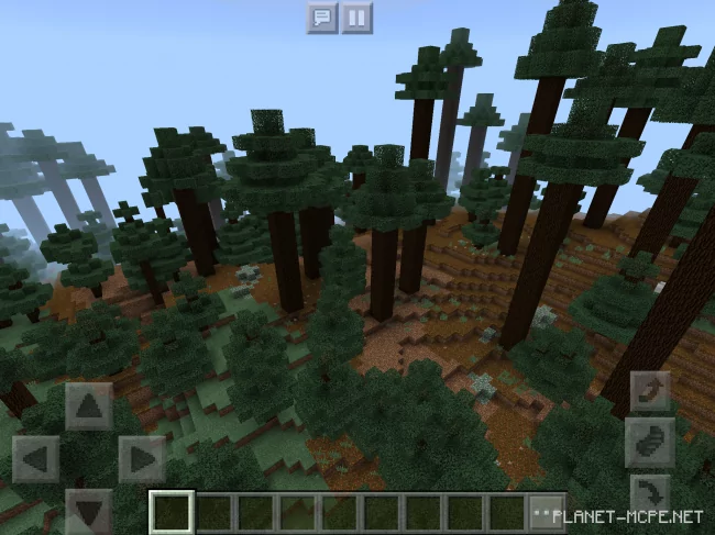 Seed for Coniferous Forests 1.2