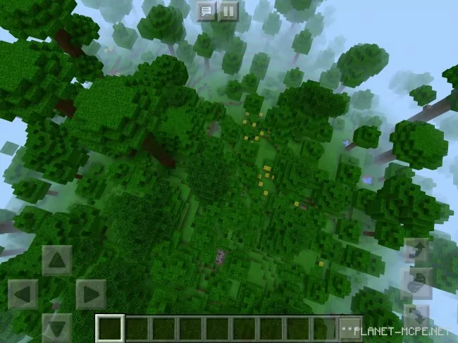 Seed for Dense Jungles 1.2