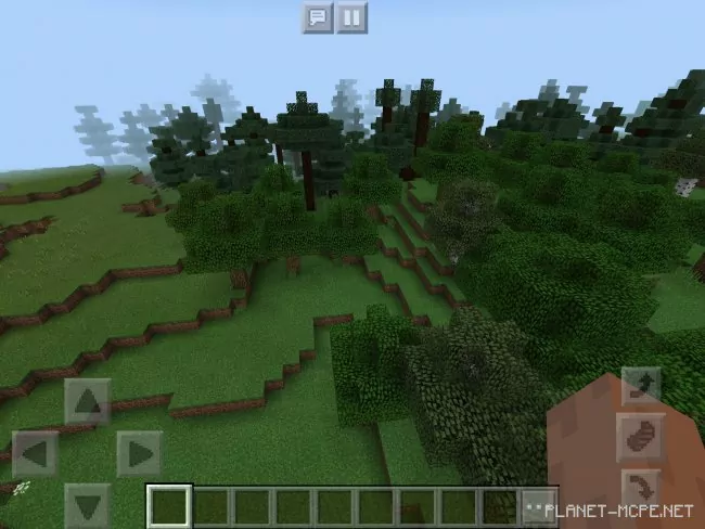 Seed for Small Coniferous Forest and Another Forest Nearby 1.2