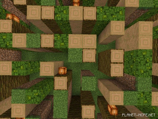 Map: Biomes Mazes [Minigame]