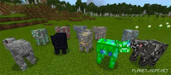 More Cows