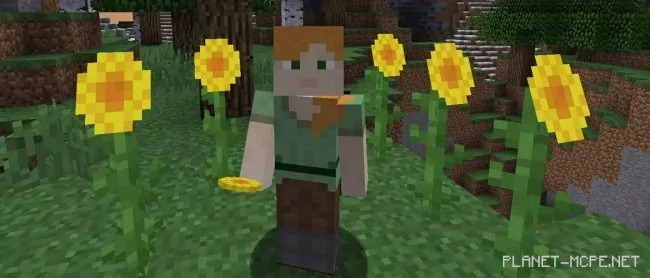 Minecraft Sunflowers