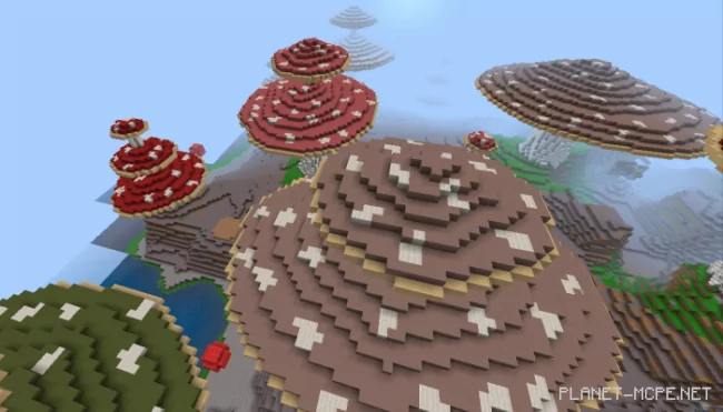 Mushroom Island Map