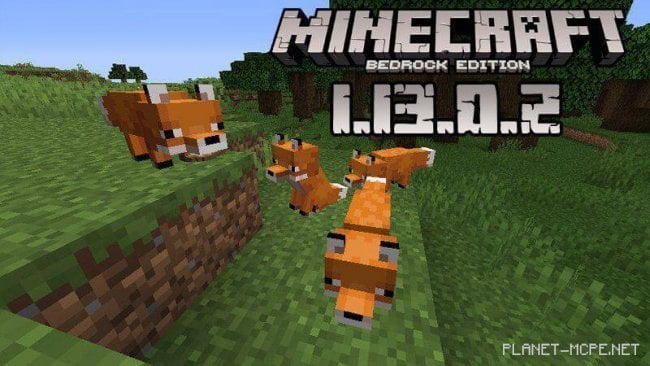 Minecraft 1.13.0.2 (Beta version)