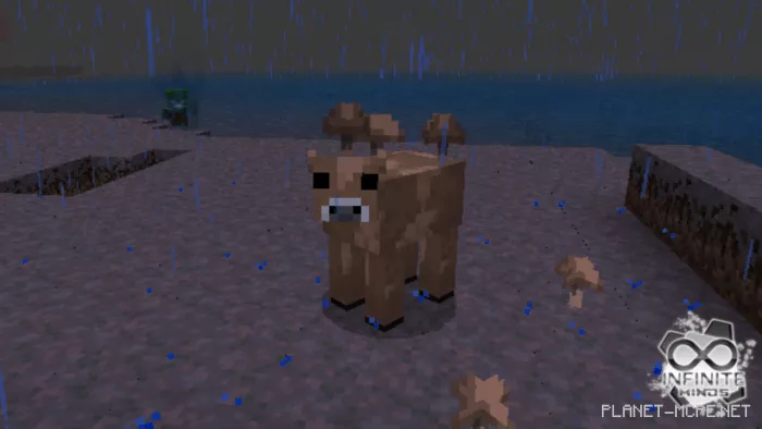 Brown Mooshroom