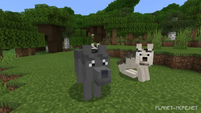 DIREWOLVES