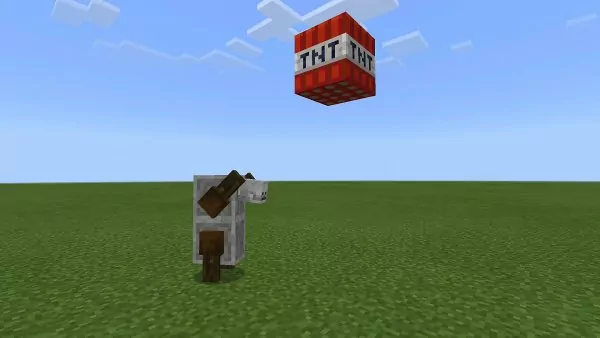 TNT Yeeter