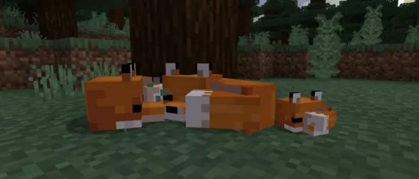 Foxes in Minecraft Bedrock!