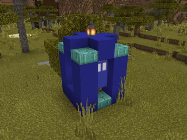 Working Bedrock Tardis Map